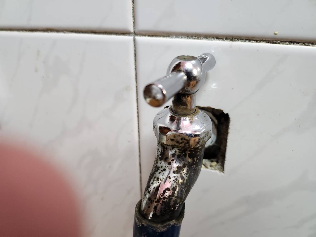 ad9a6c3f6807f7a79033957361084191_1676464992_6588.jpeg